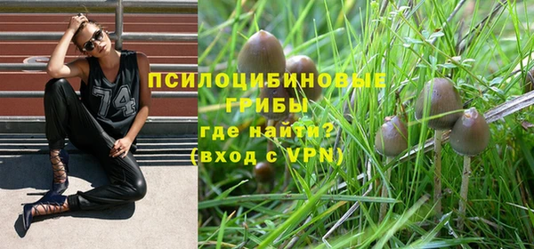 ECSTASY Гусь-Хрустальный
