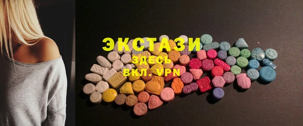 ECSTASY Гусь-Хрустальный
