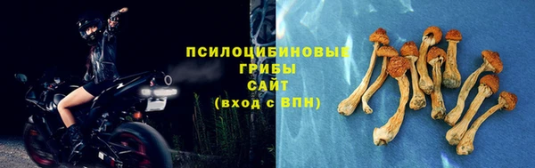 соль курить ск Гусиноозёрск