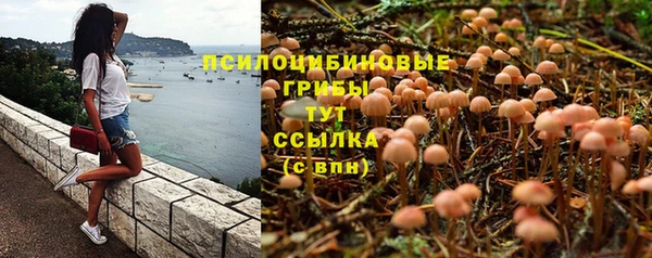 mdma Гусев