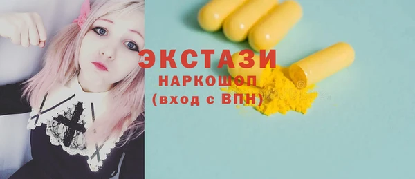 ECSTASY Гусь-Хрустальный