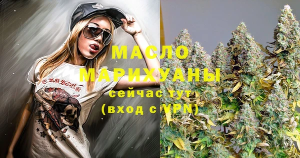 ECSTASY Гусь-Хрустальный