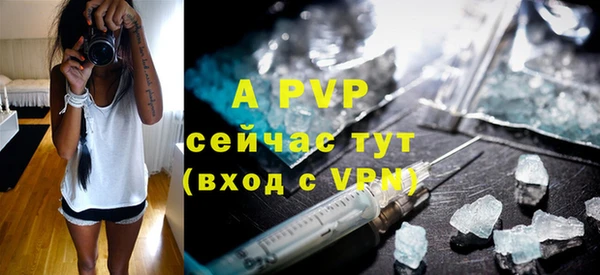 твердый Новокубанск