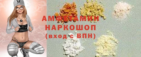 ECSTASY Гусь-Хрустальный