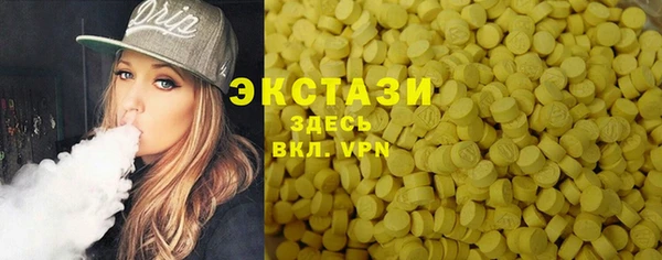 ECSTASY Гусь-Хрустальный