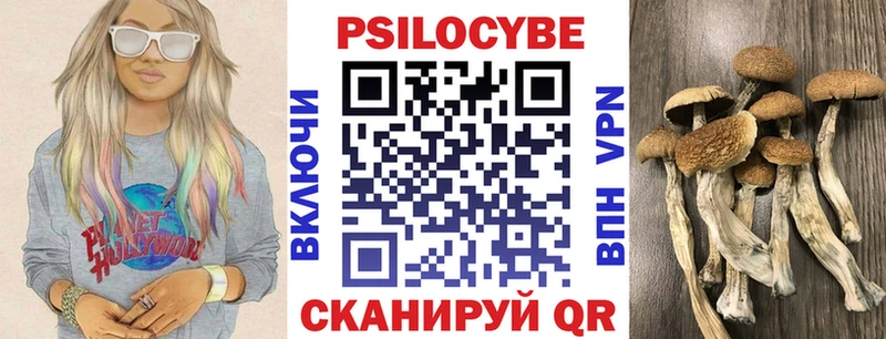 Псилоцибиновые грибы GOLDEN TEACHER купить сайты Осинники