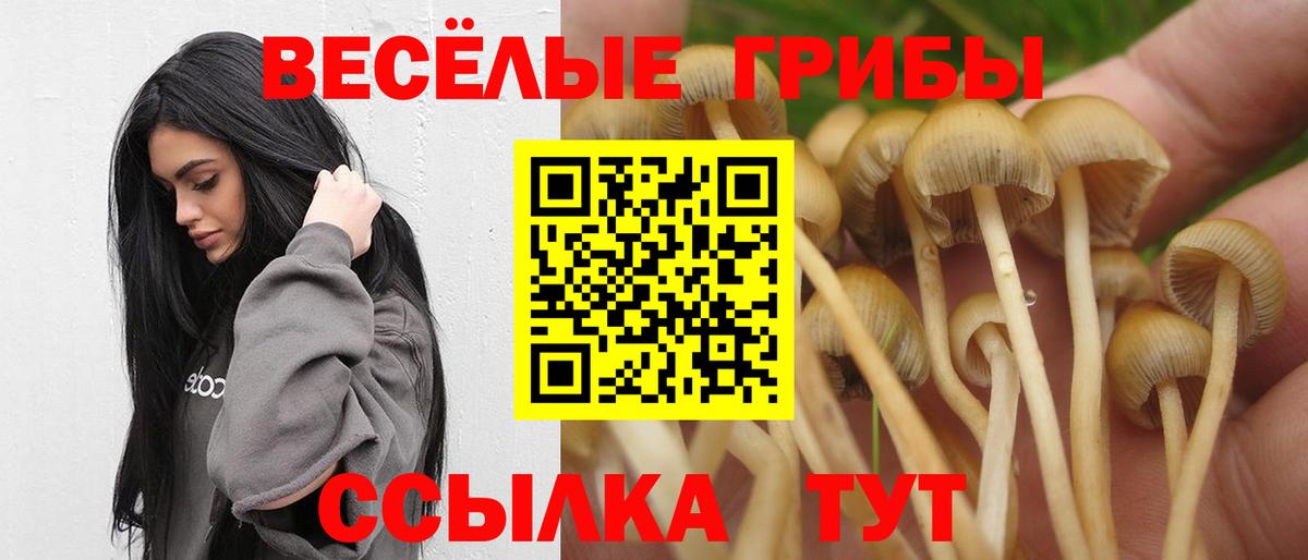 Осинники  Галлюциногенные грибы мухоморы  Вход с VPN 